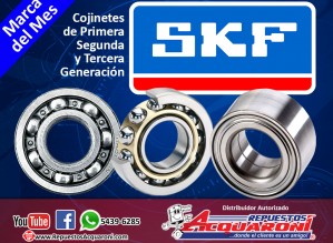 Acquaroni SKF 29-06