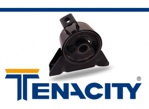 tenacity-para-blog